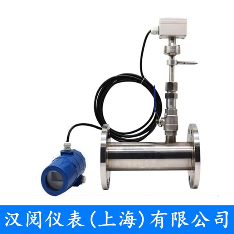 热式气体质量流量计（管道分体式）