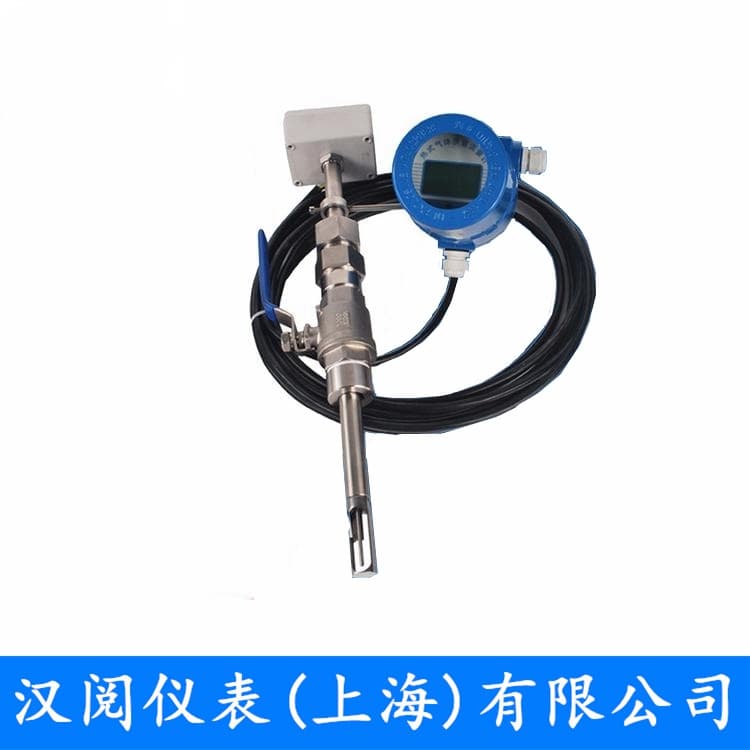 热式气体质量流量计（插入分体式）