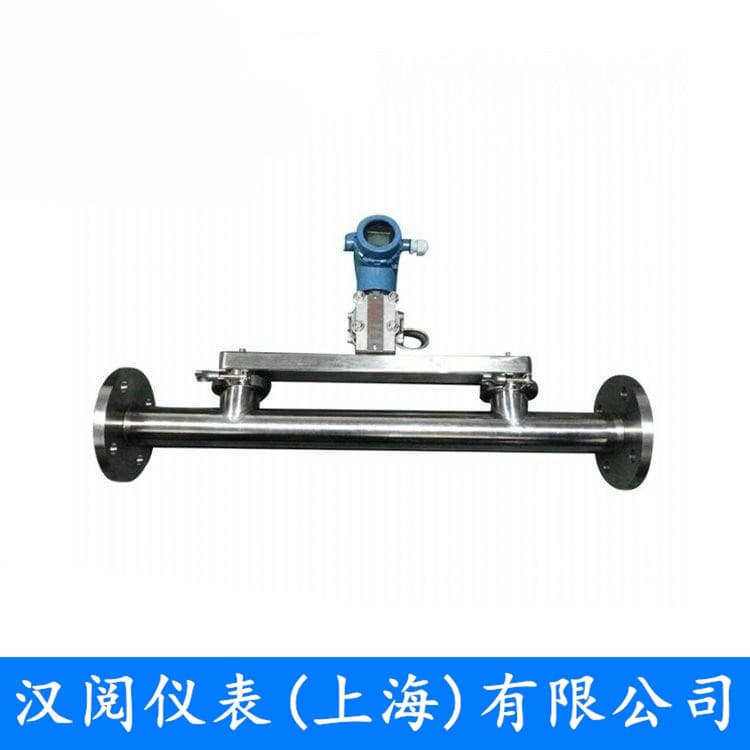 差压式在线密度计（管道式）